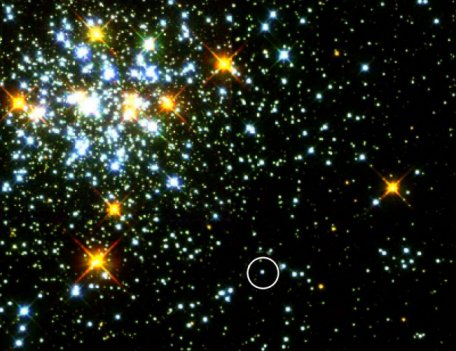 NGC 1818: Pick A Star