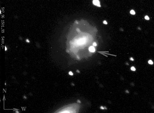A Gamma Ray Burst Supernova