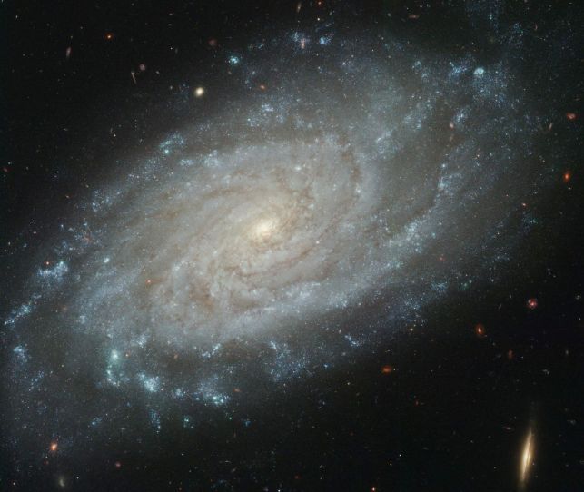 NGC 3370: A Sharper View
