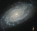NGC 3370:  подробный вид