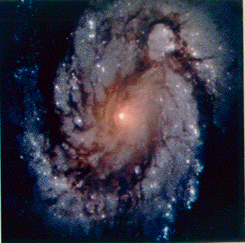 Spiral'naya galaktika M100