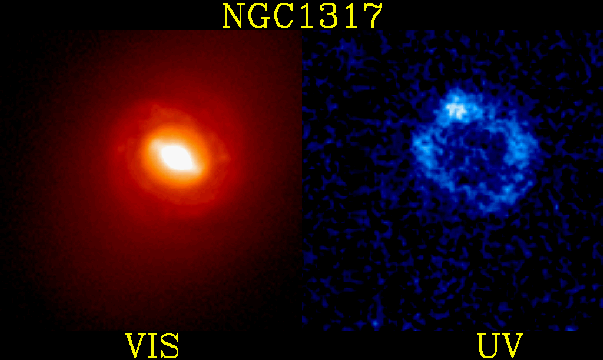 Starburst Ring in Galaxy NGC 1317