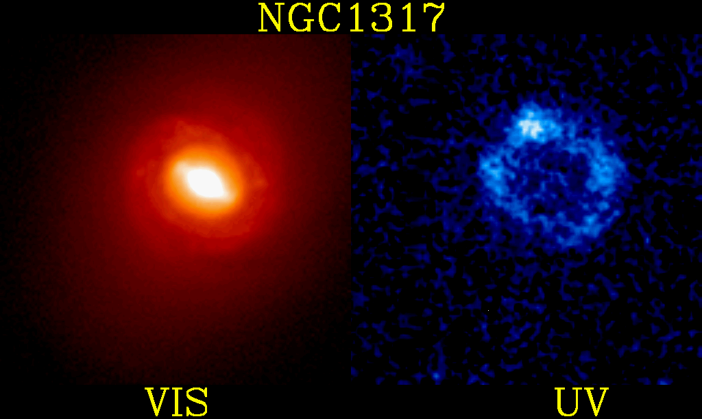 Kol'co zvezdoobrazovaniya v galaktike NGC 1317
