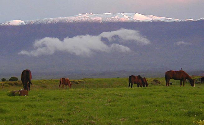 Вершина Мауна Кеа после снегопада