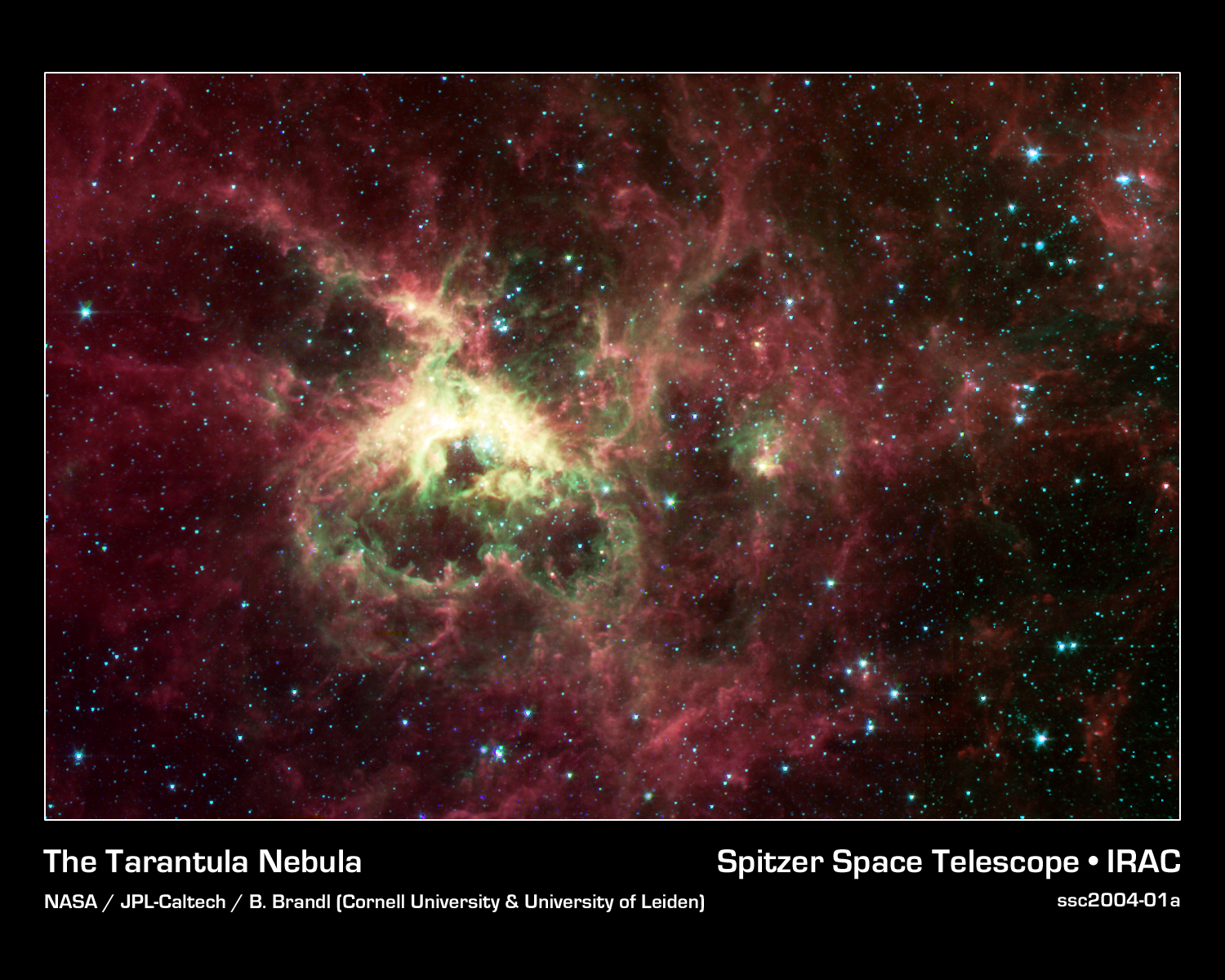 The Tarantula Nebula from Spitzer