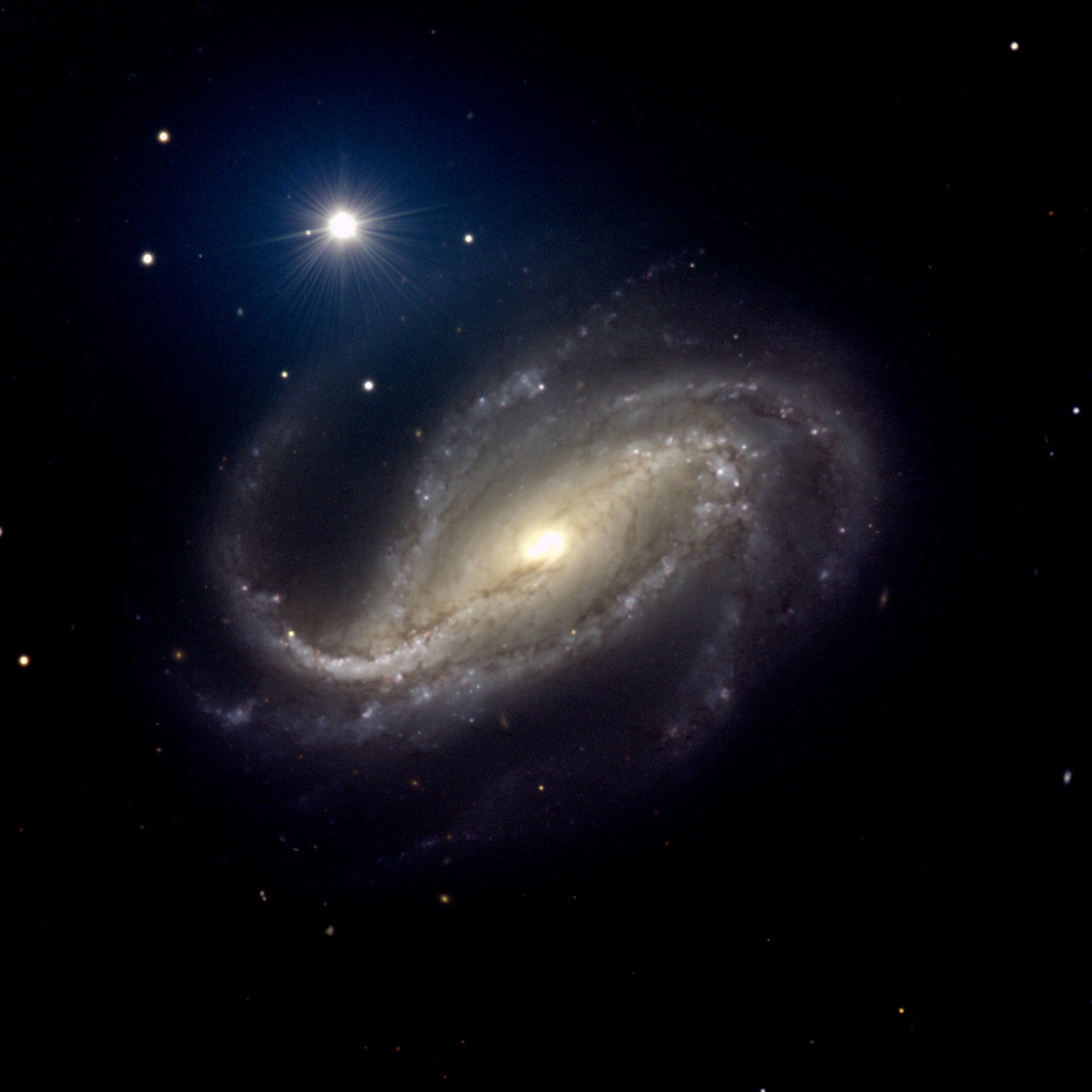 NGC 613: -  
