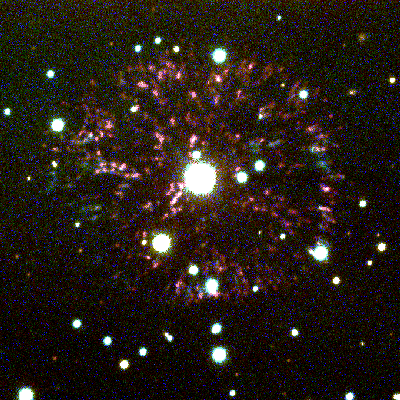 The Firework Nebula