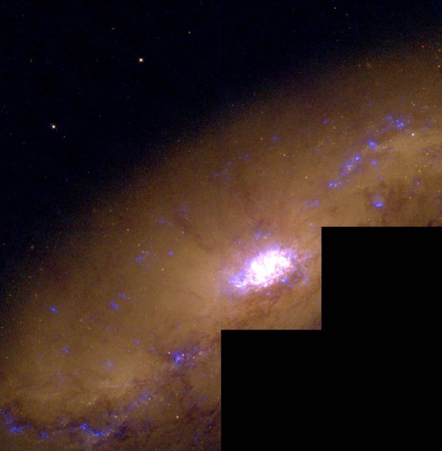 NGC 1808:     