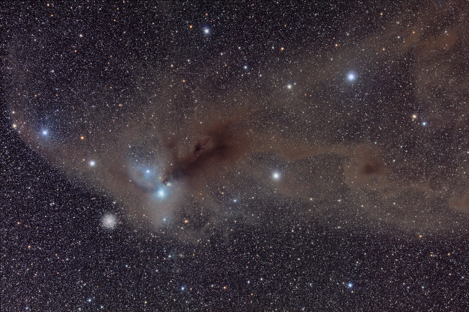 Stars and Dust in Corona Australis