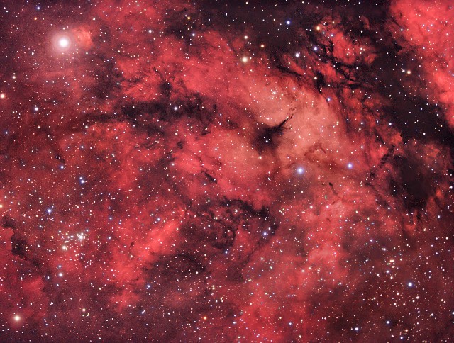 A Cygnus Star Field