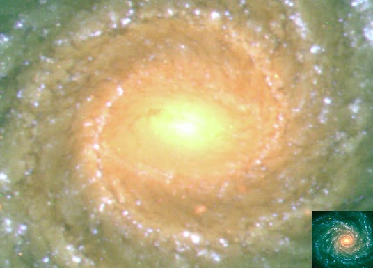 Спиральная галактика NGC 1232