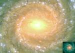 Spiral'naya galaktika NGC 1232