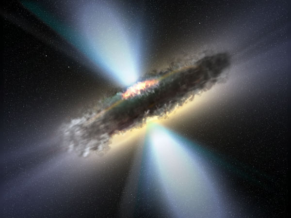 Molecular Torus Surrounds Black Hole