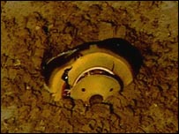 Kapsula spuskaemogo     
apparata v zemle (s'emki NASA)