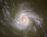 Панорама спиральной галактики NGC 3310