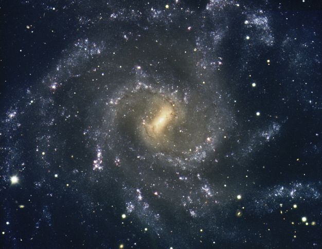 The Arms of NGC 7424