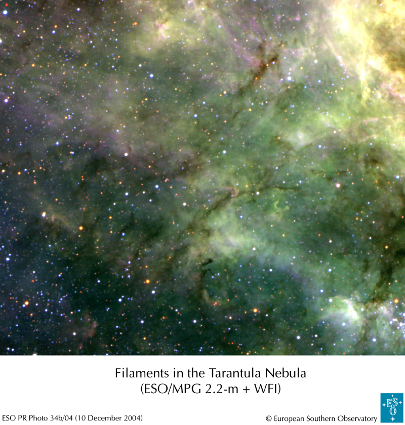Tentacles of the Tarantula Nebula