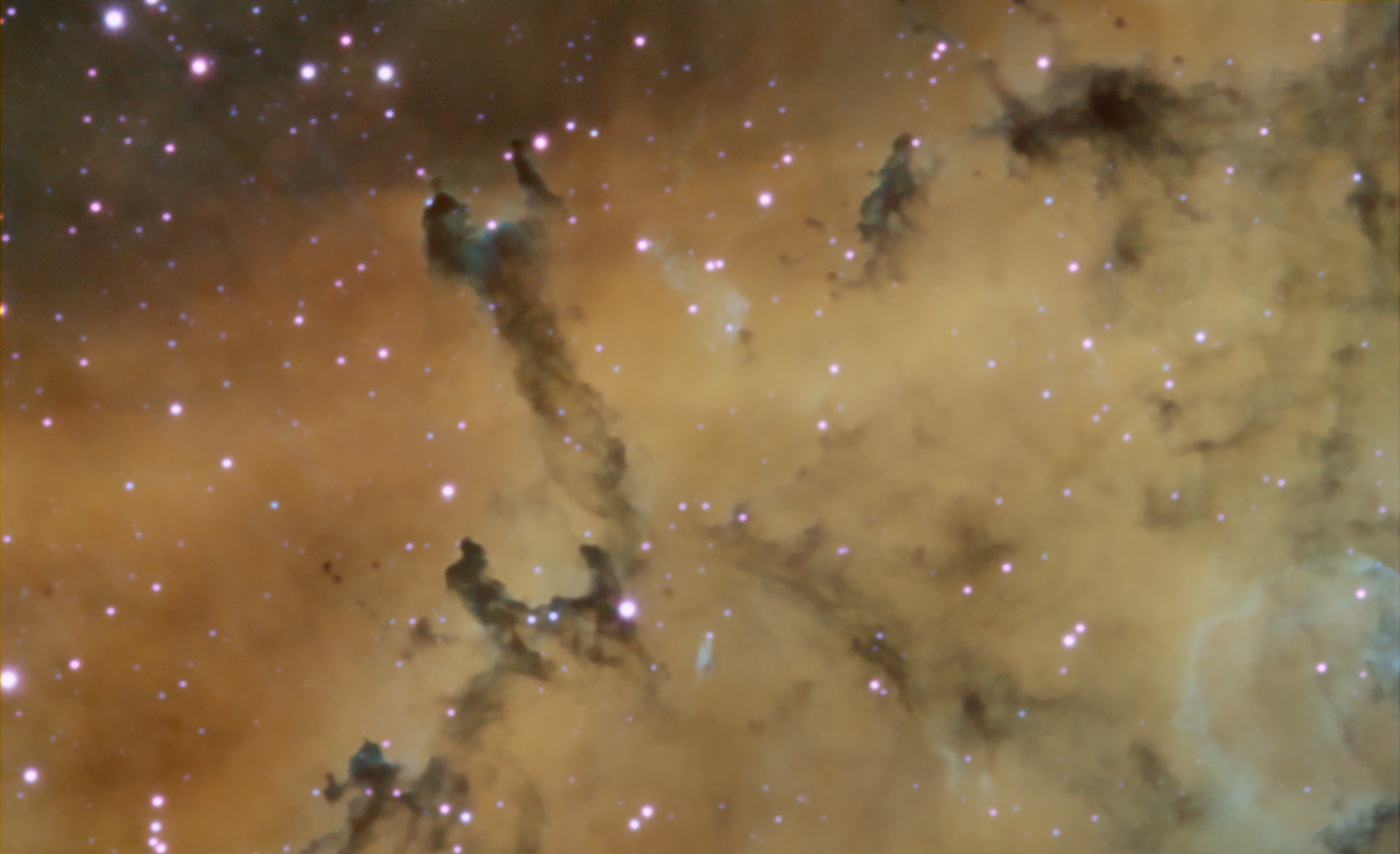 Dust Sculptures in the Rosette Nebula