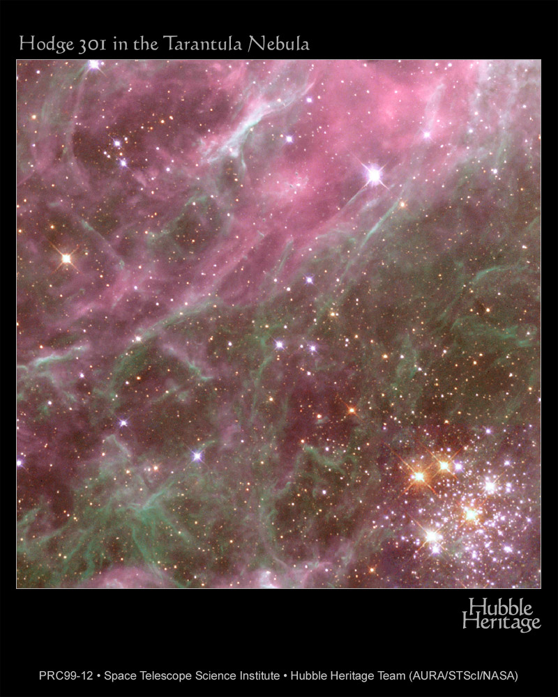 Denizen of the Tarantula Nebula