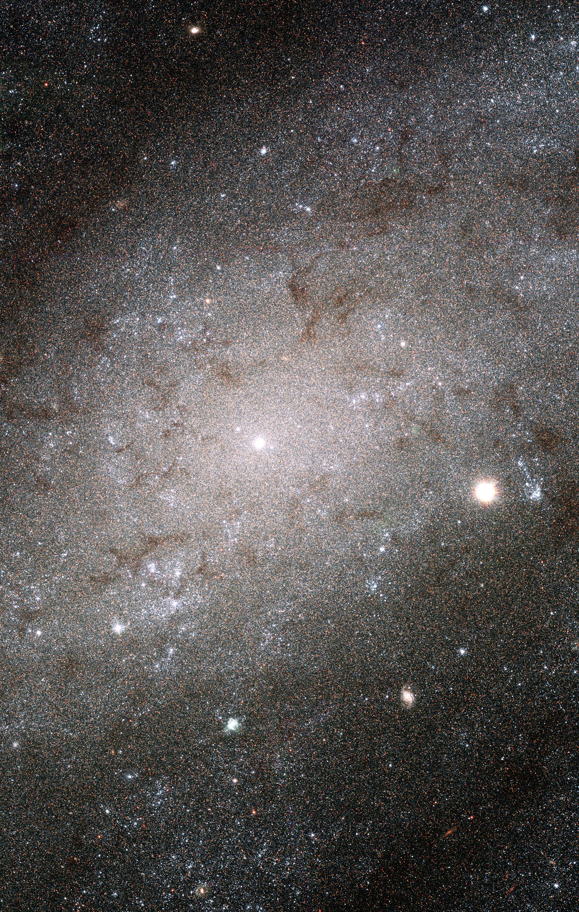 Zvezdy v NGC 300