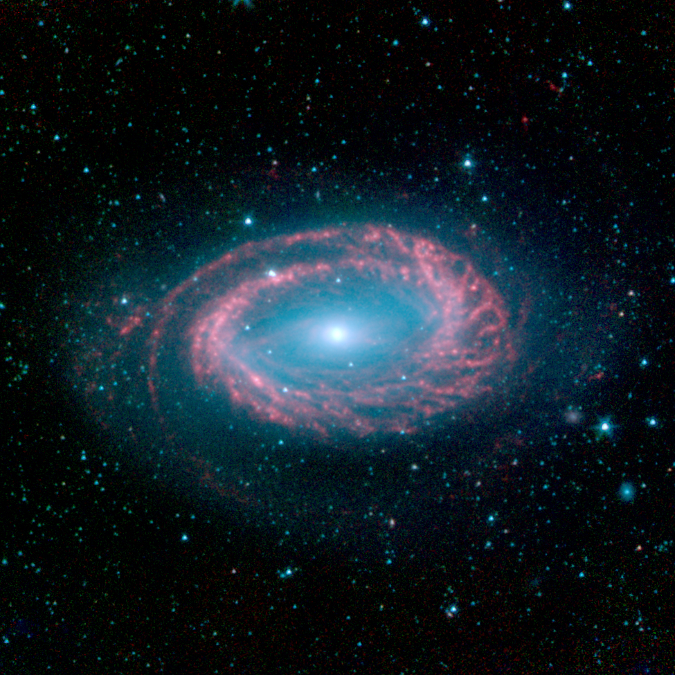 Odnorukavnaya spiral'naya galaktika NGC 4725