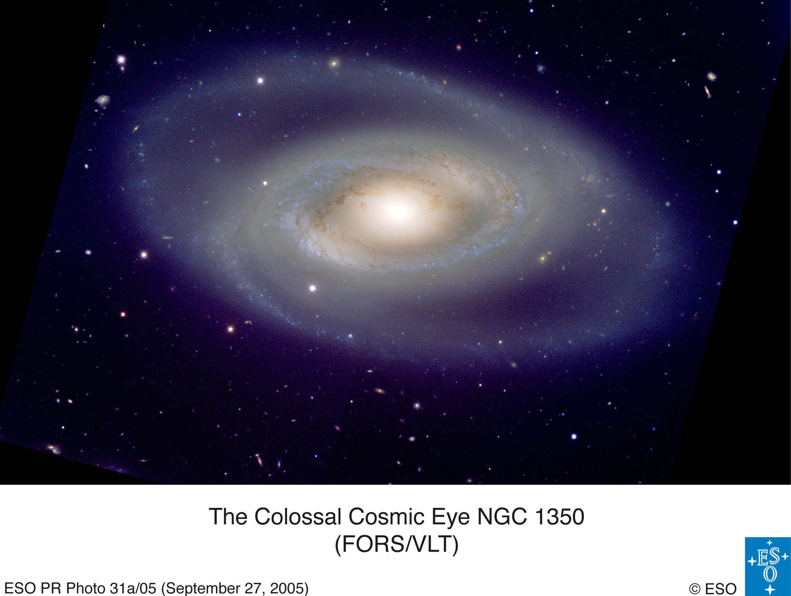   NGC 1350