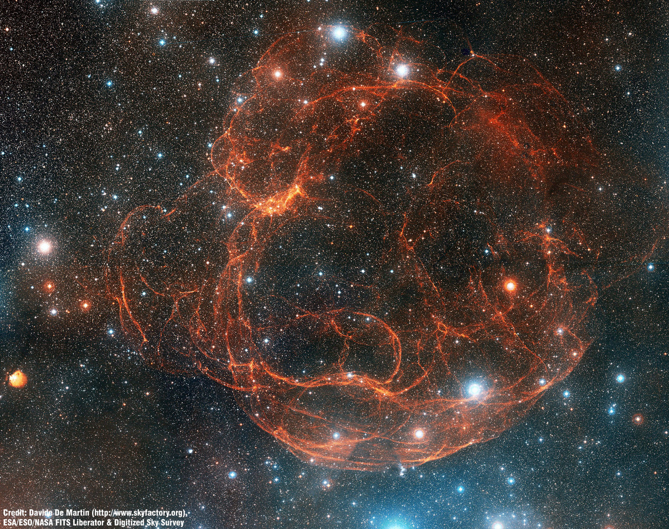 Simeis 147: Supernova Remnant from Palomar