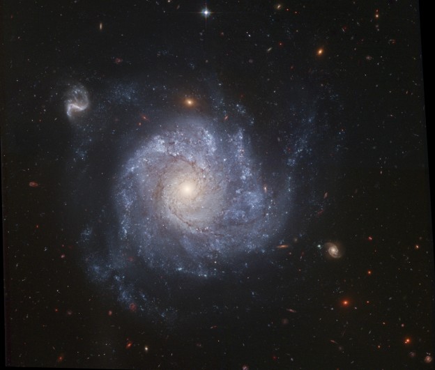 NGC 1309 and Friends
