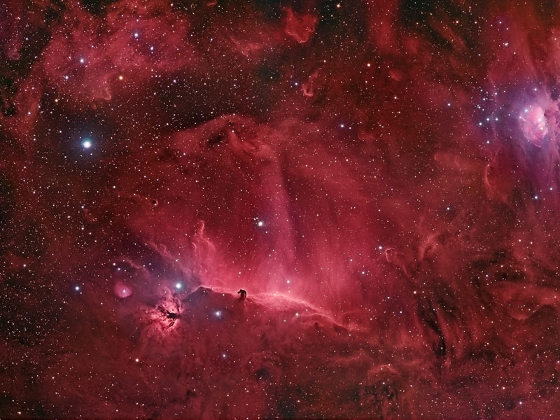Wisps Surrounding the Horsehead Nebula