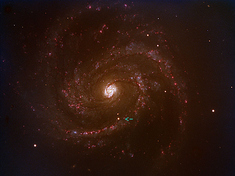 Blizkaya sverhnovaya v spiral'noi galaktike M100