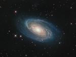 Галактика M81