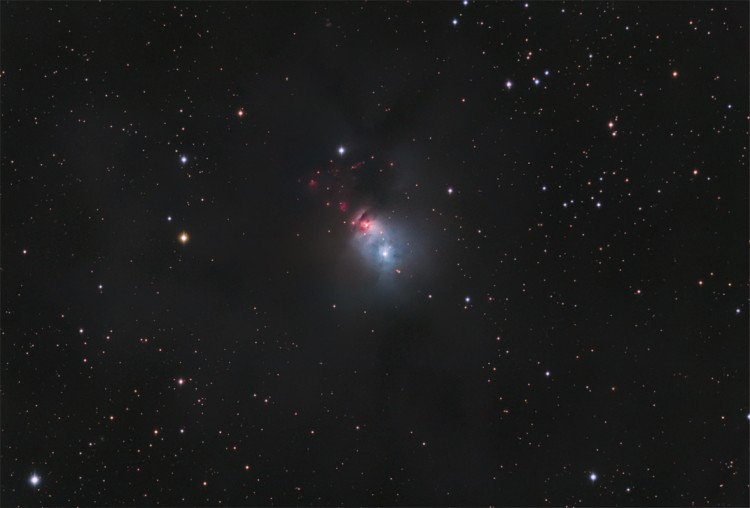 Dusty NGC 1300