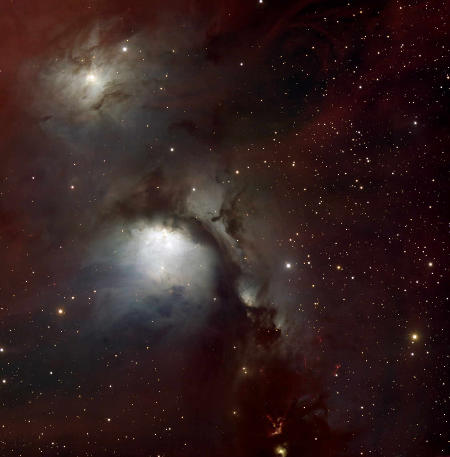 Reflection Nebulas in Orion