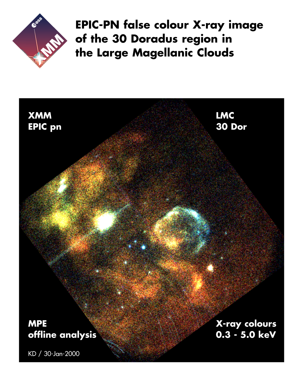 XMM-Newton First Light: X-Rays From The LMC