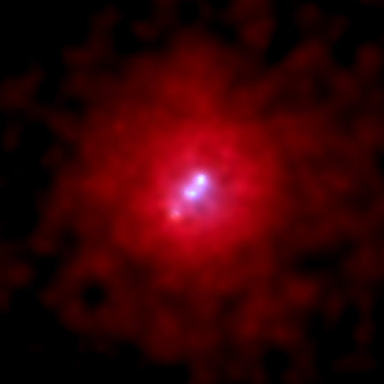 Rentgenovskie luchi ot gigantskoi galaktiki 3C 295