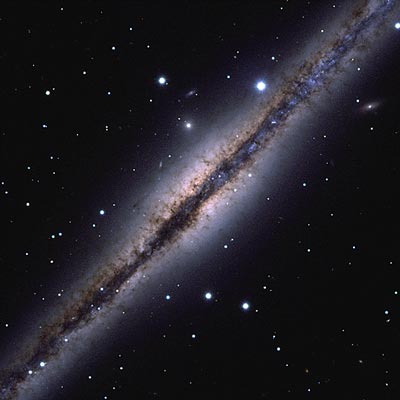 Interstellar Dust Bunnies of NGC 891