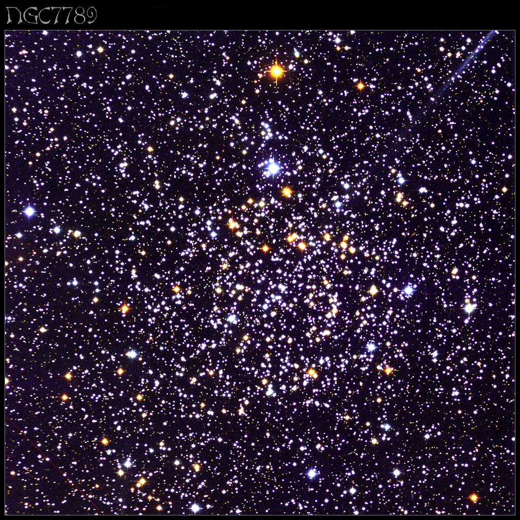 NGC 7789: Galactic Star Cluster