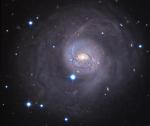  M77