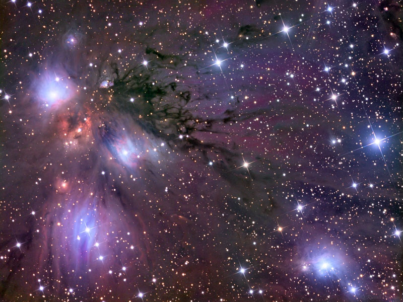 Звезды, пыль и туманность в NGC 2170