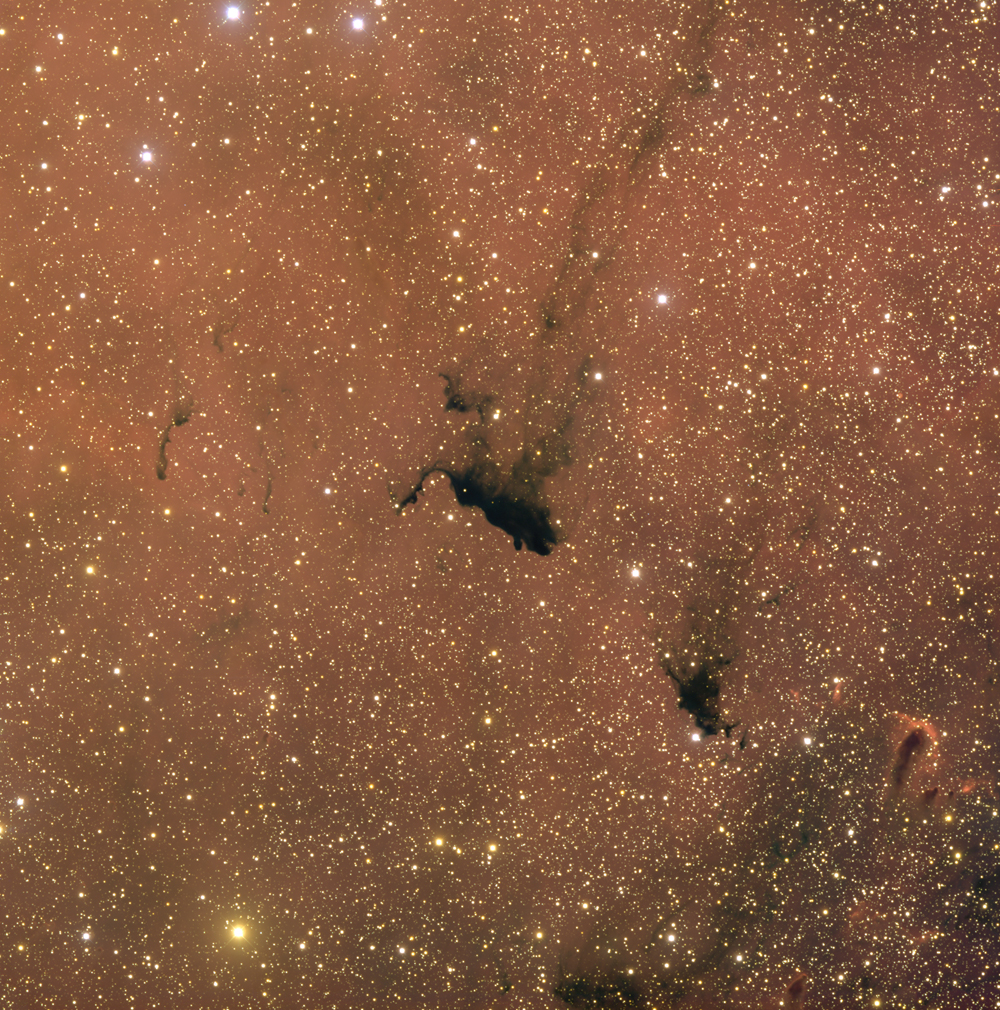 Molecular Cloud Barnard 163