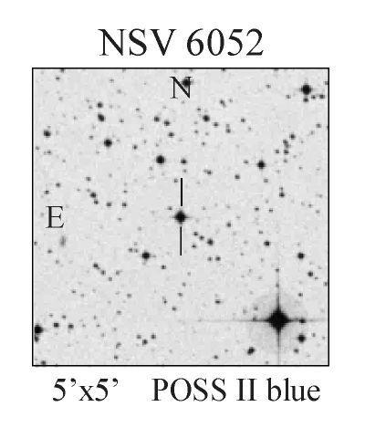 A New UGSS Variable Star NSV 6052