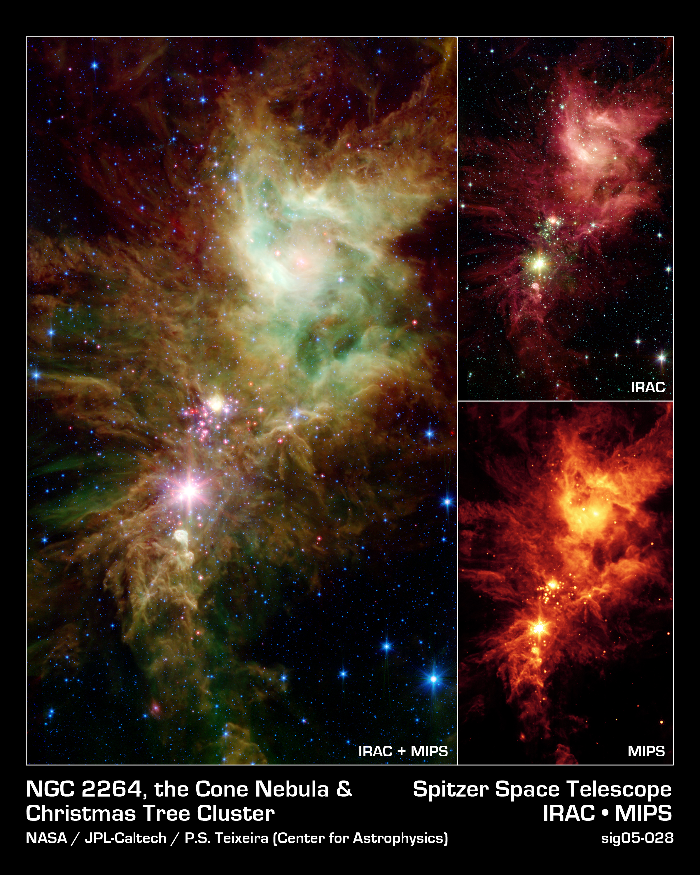 The Snowflake Cluster versus the Cone Nebula
