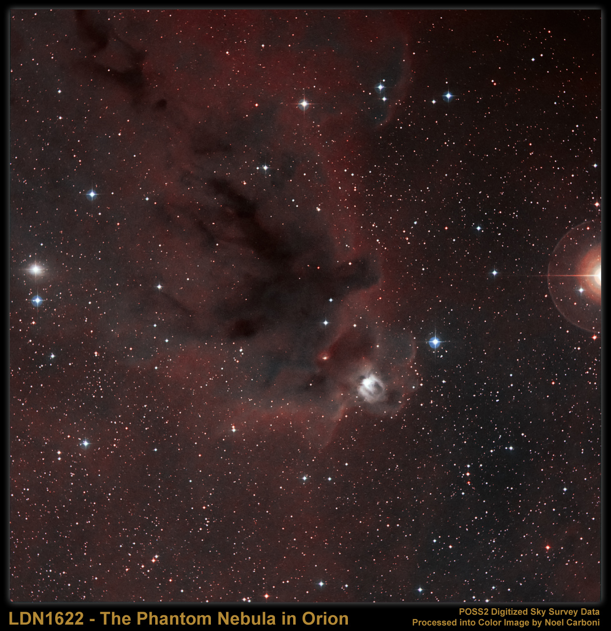 LDN 1622: temnaya tumannost' v Orione