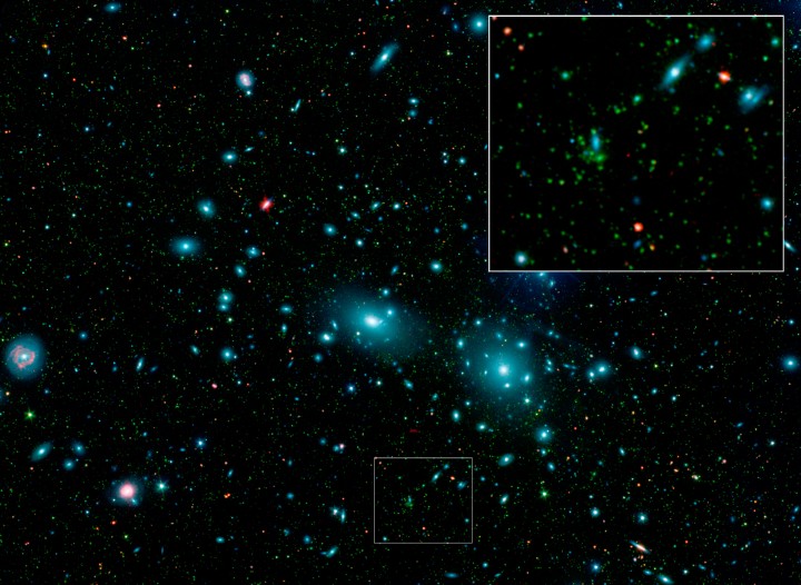 Karlikovye galaktiki v skoplenii Koma