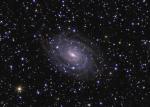 NGC 6384:   