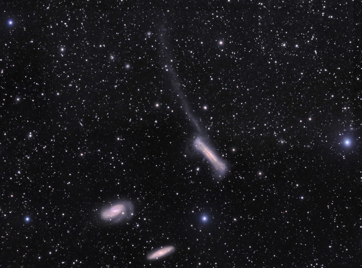 Prilivnoi hvost NGC 3628