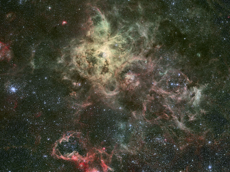 Tentacles of the Tarantula Nebula