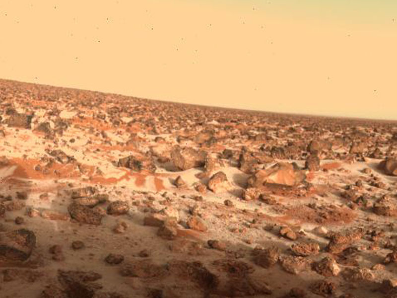 Could Hydrogen Peroxide Life Survive on Mars