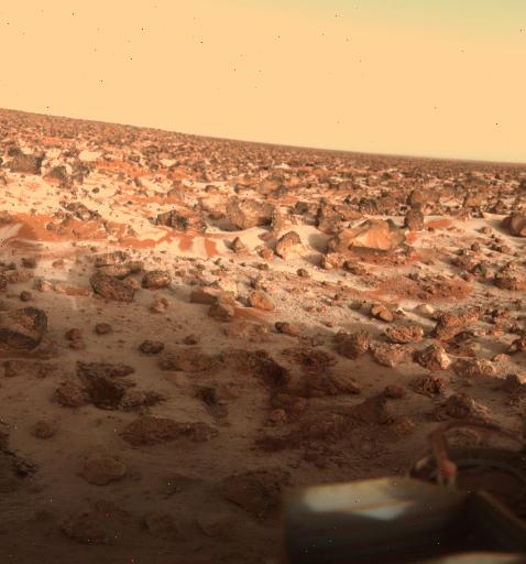 Could Hydrogen Peroxide Life Survive on Mars