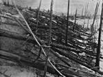 Tunguska: krupneishee stolknovenie poslednego vremeni